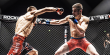 We Love MMA