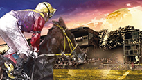 After-Work Raceday ...