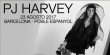 PJ Harvey