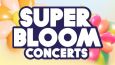 SUPERBLOOM 2026 Concert - PAUL KALKBRENNER + MONOLINK