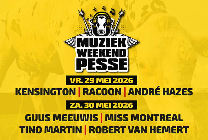 Zaalplattegrond: Muziekweekend Pesse | Dayticket Saturday