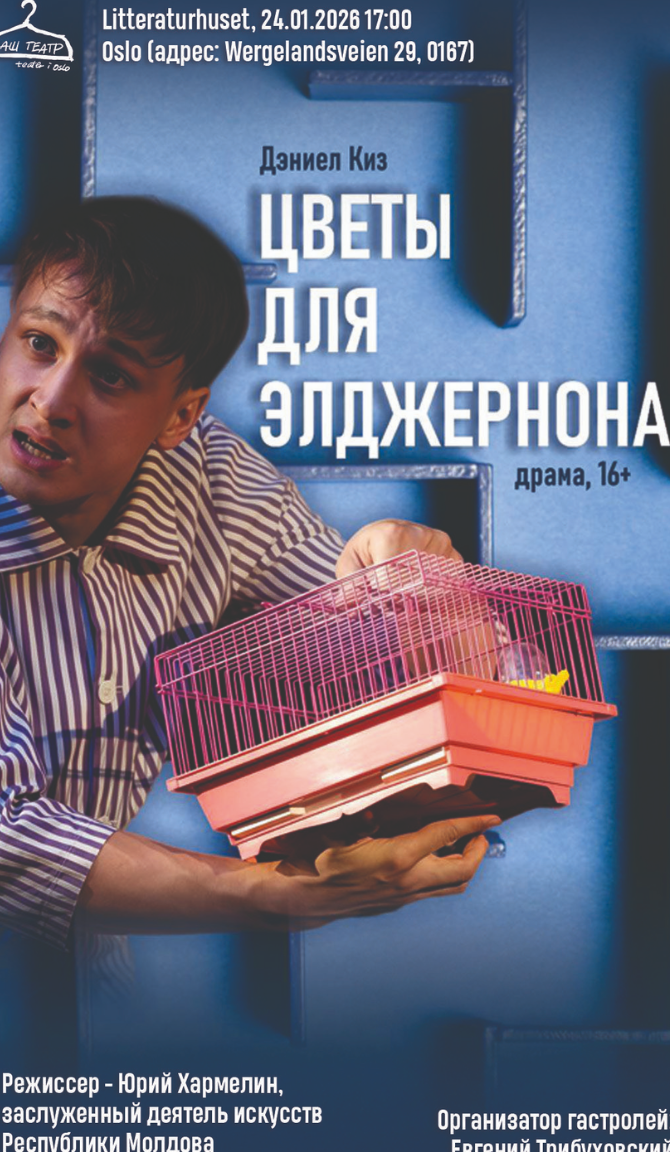 Salkart for Blomster til Algernon for referanse