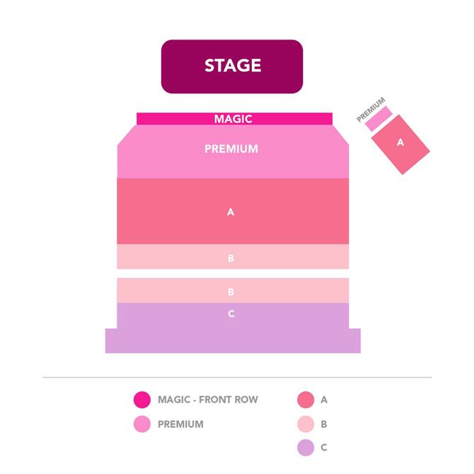 Salkart for Magic Men LIVE! for referanse