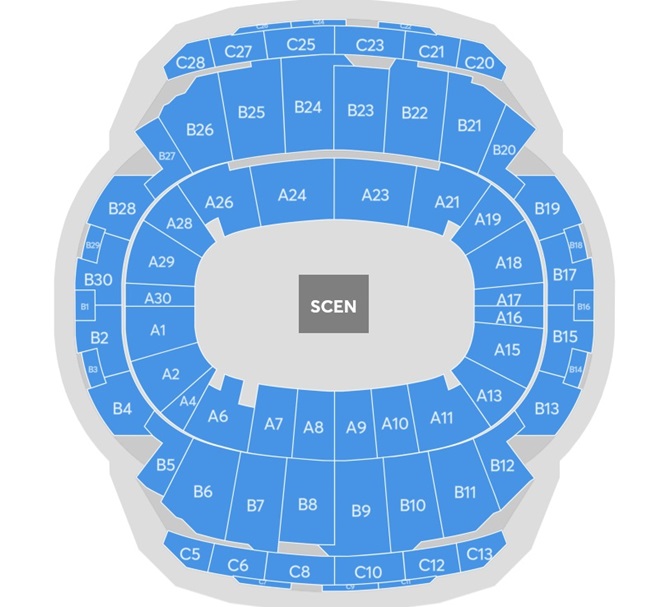 Arena platskarta för Burna Boy enbart för referens